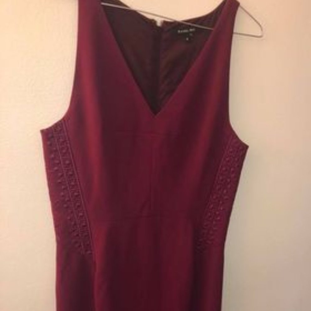 Rachel Ray Dress